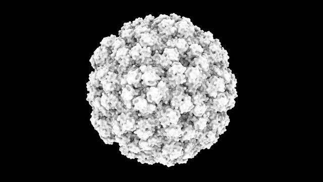 3D CG rendered image of scientifically accurate Brome Mosaic Virus Capsid based on PDB : 3J7L (surface style - monochrome)