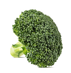 Fresh broccoli isolated on white background with clipping path