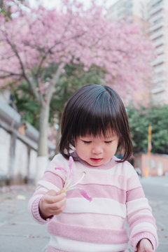 Asian little girl with Ceiba insignis flower
