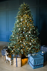 The interior of the living room with a large Christmas tree
