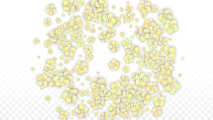 Blue Vector Realistic Blue Petals Falling on Transparent Background.  Spring Romantic Flowers Illustration. Flying Petals. Sakura Spa Design. Blossom Confetti. Design Elements for Wedding Decoration.