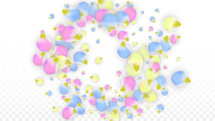 Vector Realistic Colorful Petals Falling on Transparent Background.  Spring Romantic Flowers Illustration. Flying Petals. Sakura Spa Design. Blossom Confetti. Design Elements for Wedding Decoration.