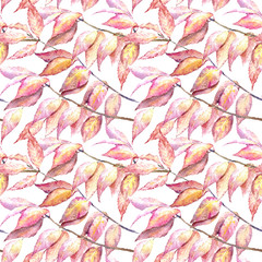Floral seamless pattern of a autumn leaves.Euonymus .Image for fabric, paper and other printing and web projects.Watercolor hand drawn illustration.White background.