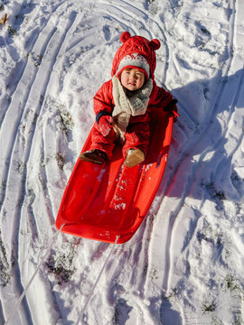 Fototapeta Little baby in sled