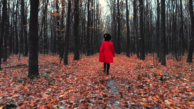 Young woman walking alone along trail in autumn forest. Back view. Travel, freedom, nature concept