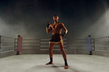 Naklejka premium Muay thai, thai boxing fighters