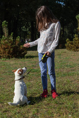 background. in the park on the green grass, the dog breed Jack Russell Terrier performs the commands of the girl. (color white with brown spots)