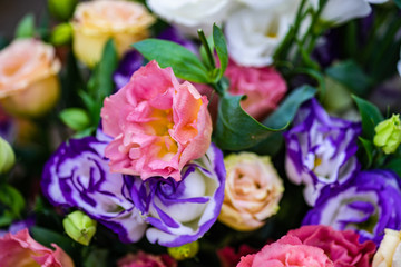 Summer flowers in a bouquet