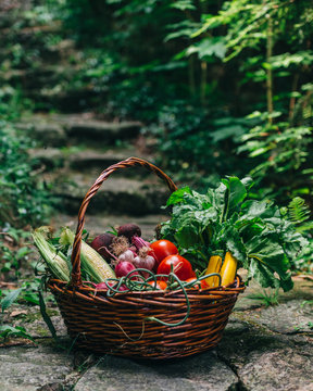 Veggies in a basket