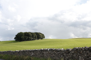 Dry Stone Wall in the Yorkshire Dales - 232546777