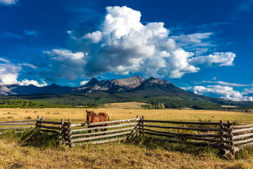 JULY 12, 2018, RIDGWAY COLORADO USA - Horse overlooks worm western fence in front of San Juan...