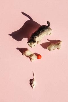 Motherhood Cat and Mouse