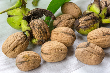 Fresh walnuts with leaves, garden harvest, healthy food.