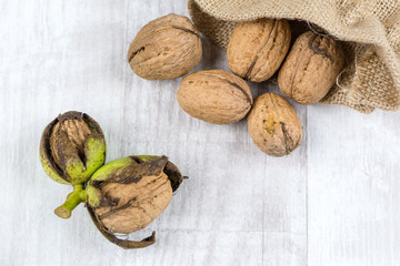 Fresh walnuts. Garden harvest. Healthy food.