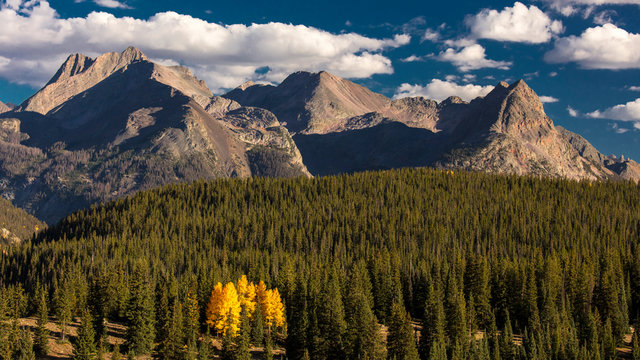 Molas Lake, South of Silverton, Colorado, Root 550