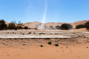 Windrose im Sossusvlei