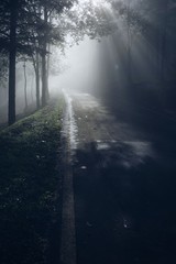 the road with sun rays