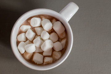 Fototapeta na wymiar hot cocoa with marshmallows