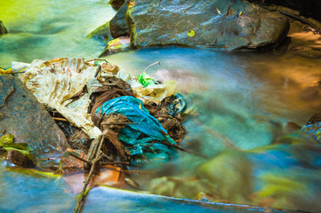 Beautiful forest stream highly polluted with waste