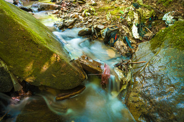 Beautiful forest stream highly polluted with waste