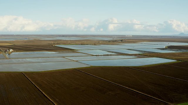 Aerial view of commercial rice growing fields Northern California