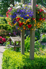 Details of spring or summer garden full with colorful flowers