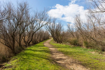 Marismas del ampurdán, Girona