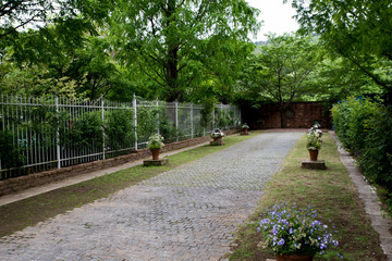 The path of the garden