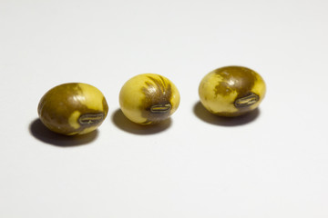 graines de soja tachées