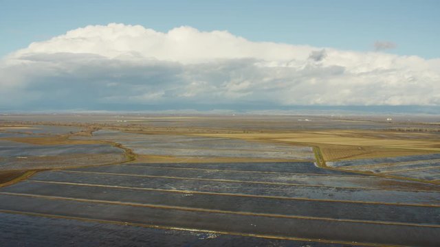 Aerial view of Sutter rice fields Northern California