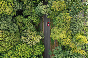 Grüner Wald mit rotem Auto senkrecht von oben - Luftaufnahme - Co2 frei - null emissionen - elektromobilität