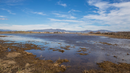 Marismas del ampurdán, Girona