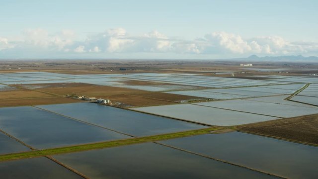Aerial view of commercial rice growing fields Northern California