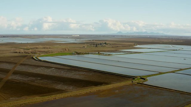 Aerial view of cultivated rice growing fields Sutter Northern California