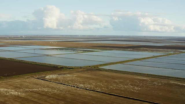 Aerial view of Sutter rice fields Northern California
