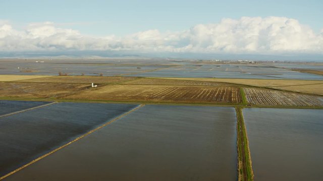 Aerial view of Sutter rice fields Northern California