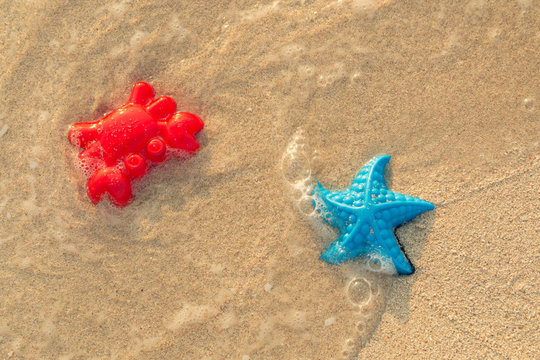 Colorful toys near the seashore. Red crab and blue starfish washed by the sea wave.