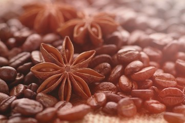 Aromatic roasted coffee beans and anis or badian background close up
