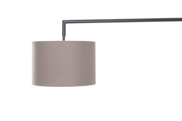 a lamb in the studio