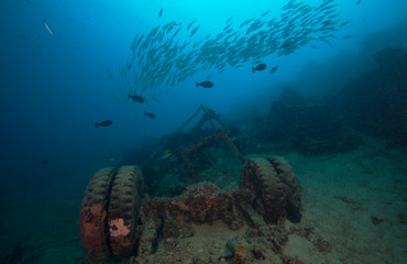 Fototapeta na wymiar Wreck sits on sea floor