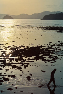 Octopus Hunting in Phuket ,Thailand.