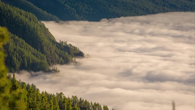 tenerife island forest mountain top above the clouds panorama timelapse 4k spain
