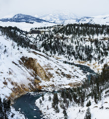 Winteer In Yellowstone National Park