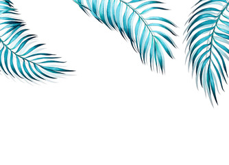 Fototapeta na wymiar Watercolor illustration of tropical palm leaves, blue turquoise on white background.