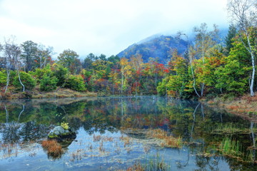 秋色に染まるまいめの池