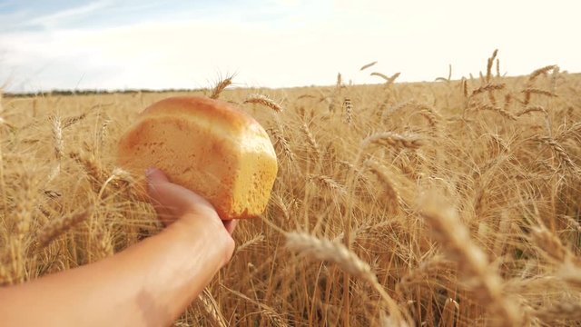 man holds a bread in a wheat field. lifestyle slow motion video. successful agriculturist in field of wheat. harvest time. bread baking vintage agriculture concept