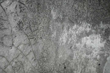 Fototapeta premium Simple gray concrete wall texture background.