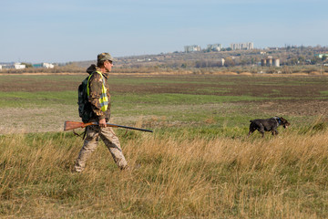 Hunters with a german drathaar and spaniel, pigeon hunting with dogs in reflective vests	