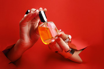 Eleganckie kosmetyki w kobiecych dłoniach.  Kobiece dłonie z  czerwonymi paznokciami przez otwór w czerwonym tle  trzymają perfumy. - obrazy, fototapety, plakaty