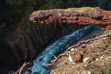 waterfall in forest